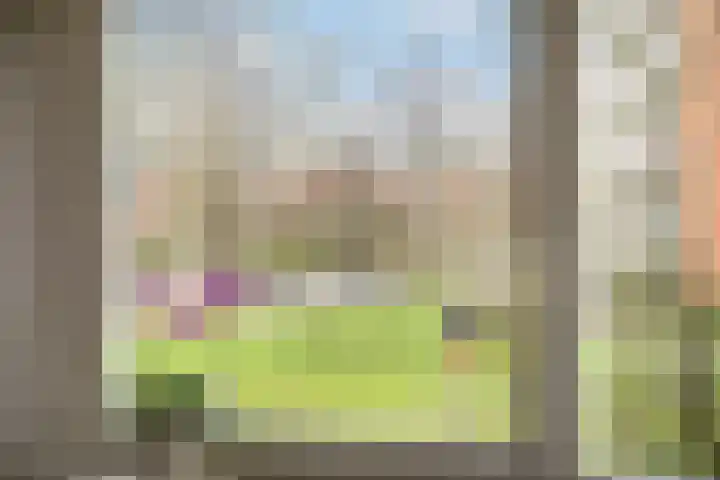 van Heuven Goedhartlaan 1 's-Gravenzande thumbnail 19