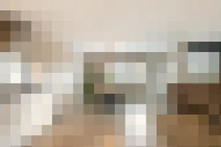 van Heuven Goedhartlaan 1 's-Gravenzande thumbnail 4