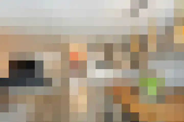 van Heuven Goedhartlaan 1 's-Gravenzande thumbnail 7