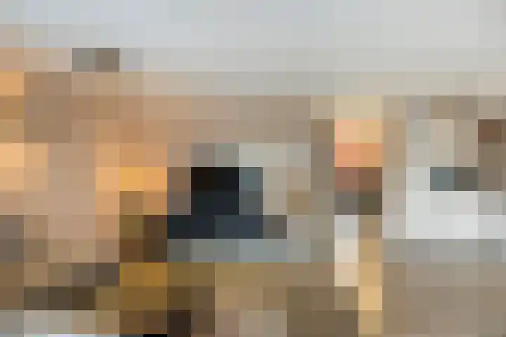 van Heuven Goedhartlaan 1 's-Gravenzande thumbnail 8