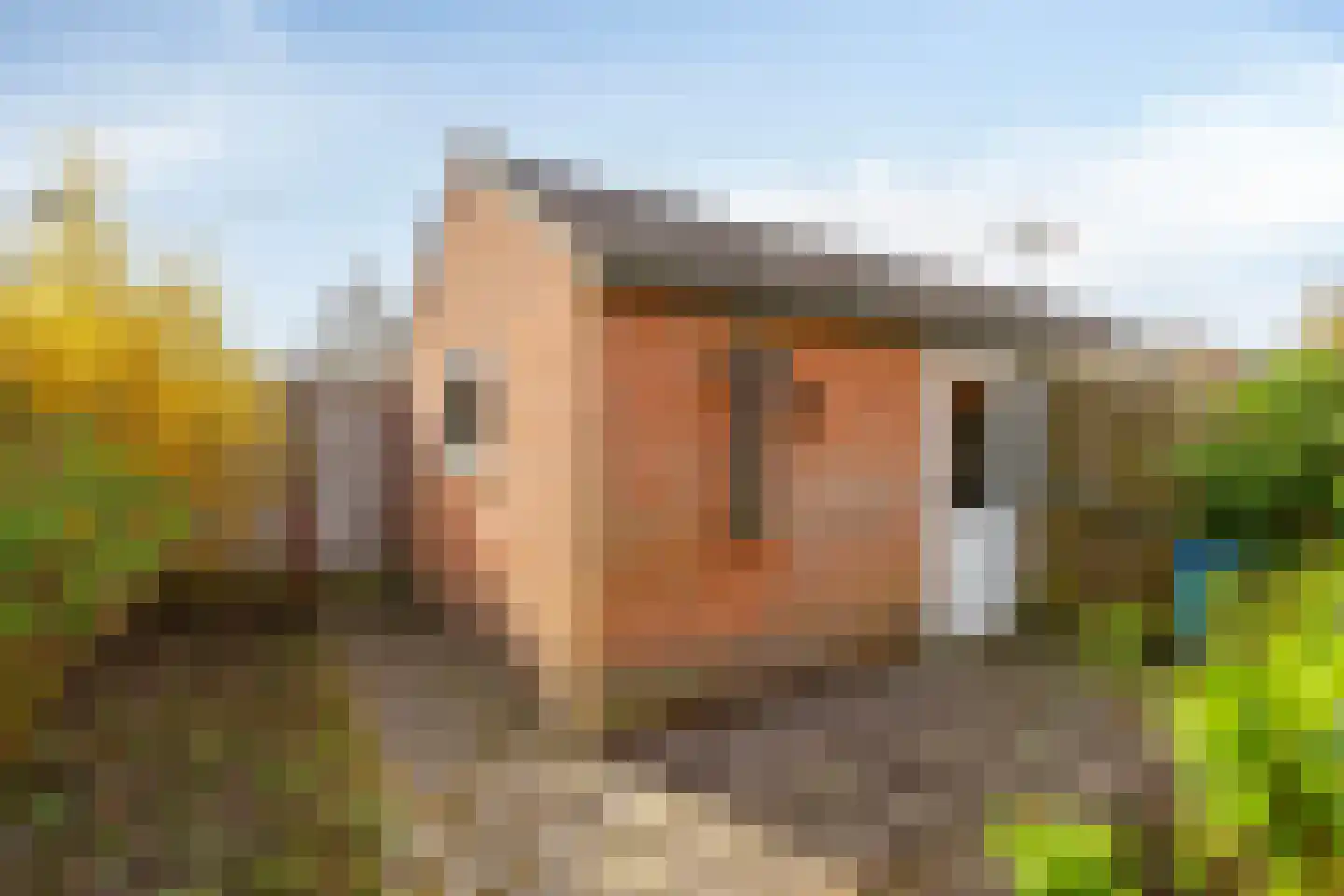 van Heuven Goedhartlaan 19 Assen thumbnail 32