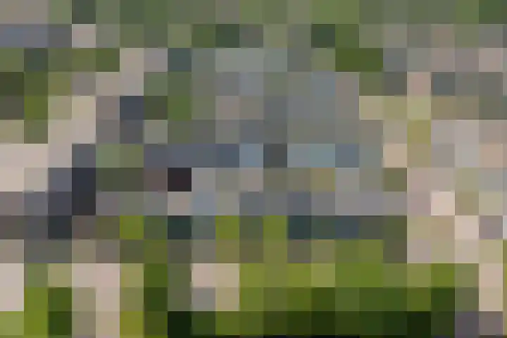 Van Heuven Goedhartlaan 254 Amstelveen thumbnail 36