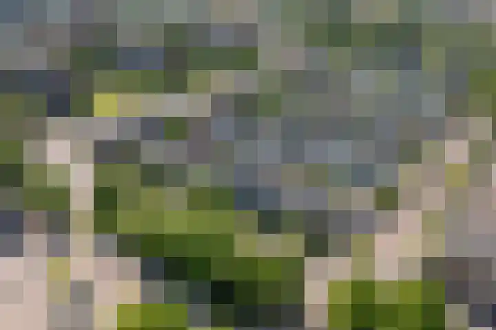 Van Heuven Goedhartlaan 254 Amstelveen thumbnail 37