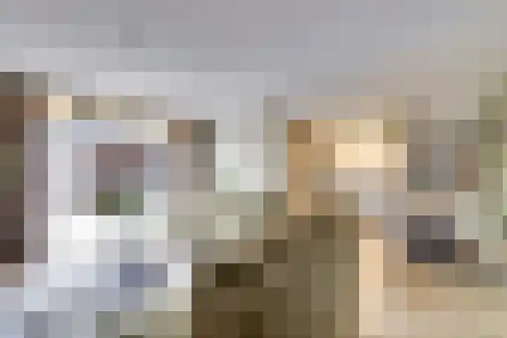 van Heuven Goedhartlaan 27 's-Gravenzande thumbnail 13