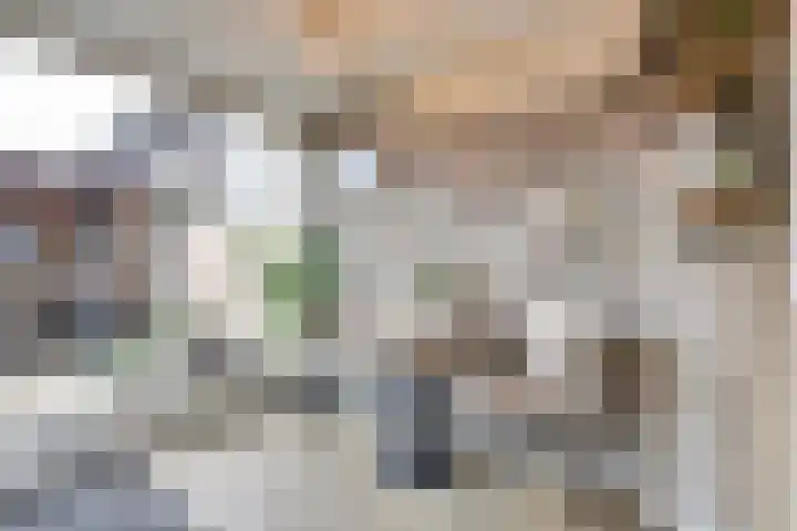 van Heuven Goedhartlaan 27 's-Gravenzande thumbnail 19