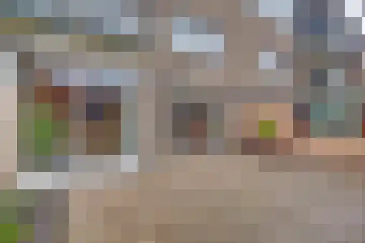 van Heuven Goedhartlaan 27 's-Gravenzande thumbnail 29
