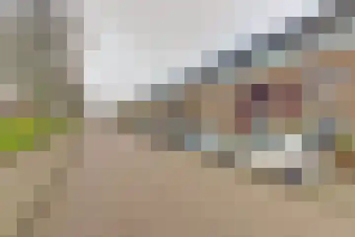 van Heuven Goedhartlaan 27 's-Gravenzande thumbnail 33