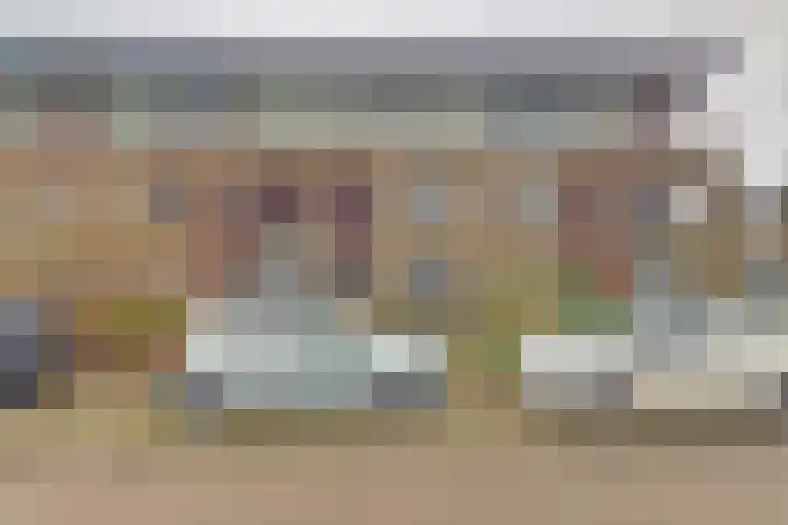van Heuven Goedhartlaan 27 's-Gravenzande thumbnail 34