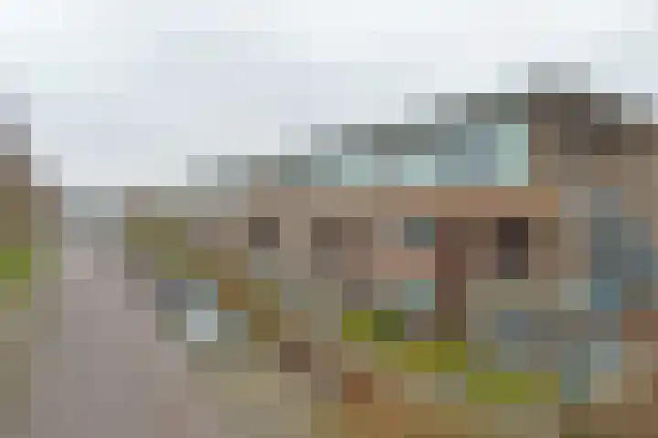 van Heuven Goedhartlaan 27 's-Gravenzande thumbnail 37