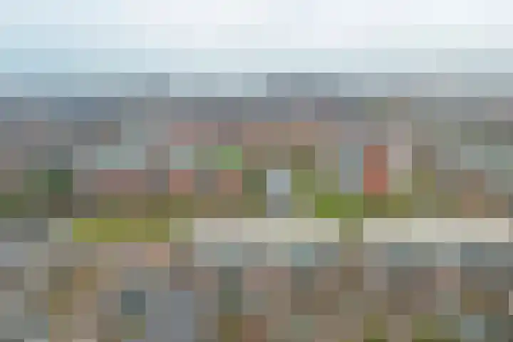 van Heuven Goedhartlaan 27 's-Gravenzande thumbnail 39