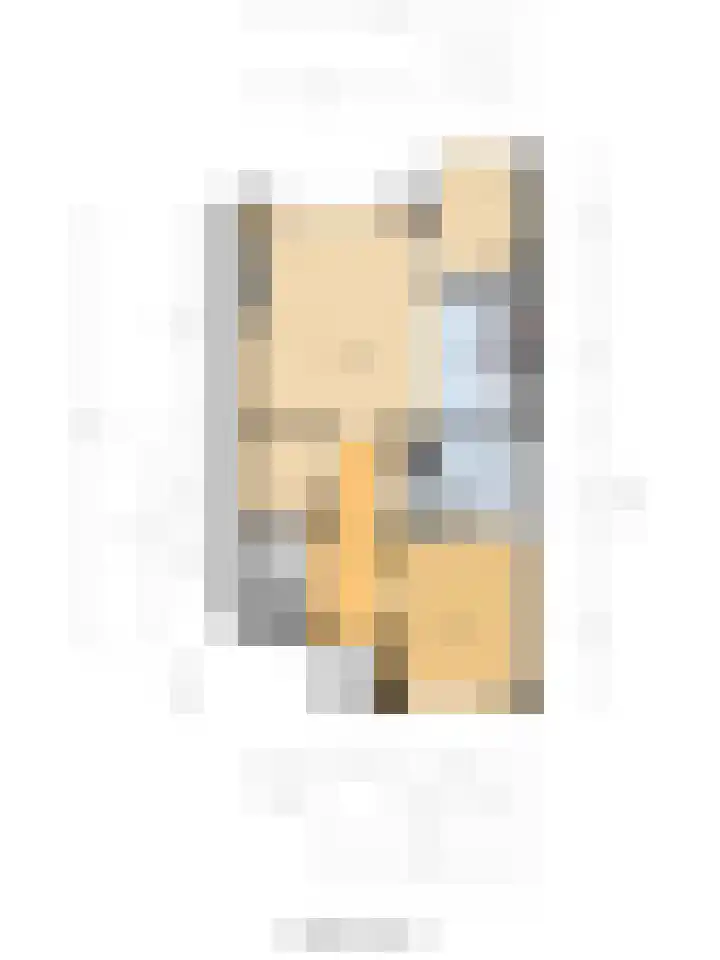 van Heuven Goedhartlaan 27 's-Gravenzande thumbnail 40