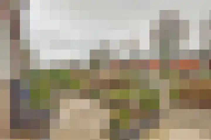 van Heuven Goedhartlaan 27 's-Gravenzande thumbnail 9