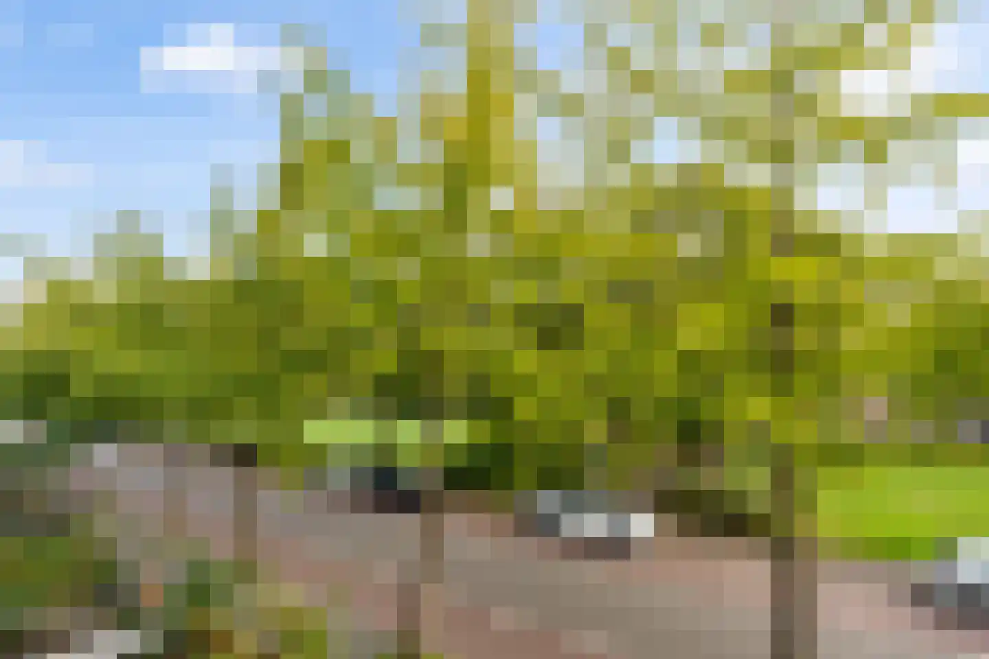 Van Heuven Goedhartlaan 272 Amstelveen thumbnail 26