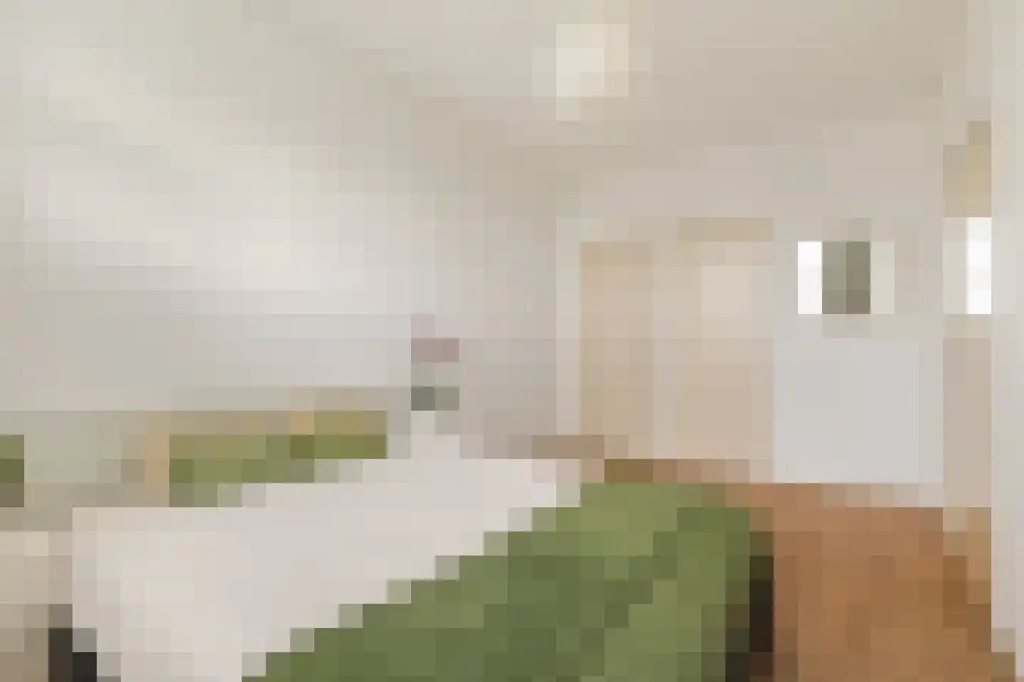 Van Heuven Goedhartlaan 352 Amstelveen thumbnail 17