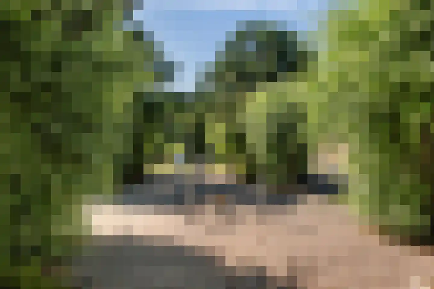 van Heuven Goedhartlaan 39 's-Gravenzande thumbnail 31