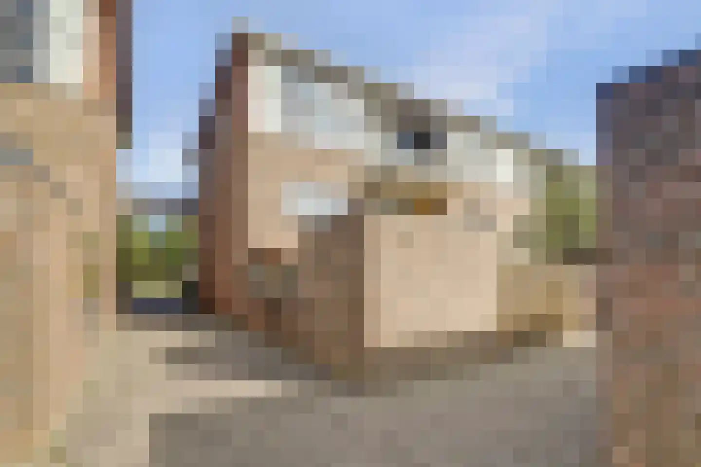van Heuven Goedhartlaan 41 's-Gravenzande thumbnail 29
