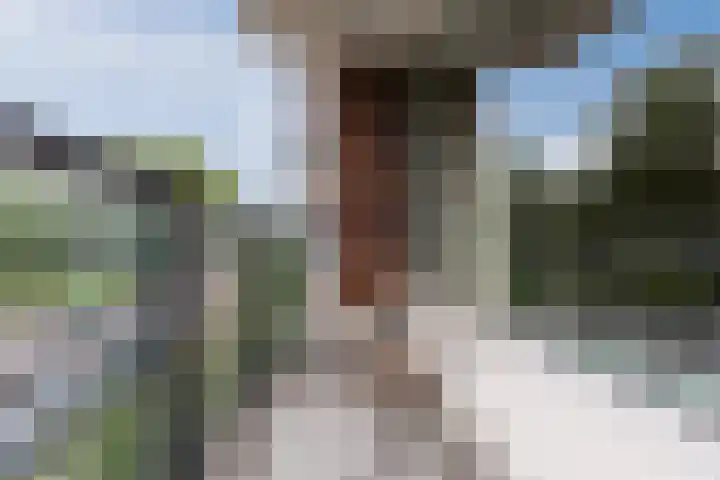 Van Heuven Goedhartlaan 426 Amstelveen thumbnail 28