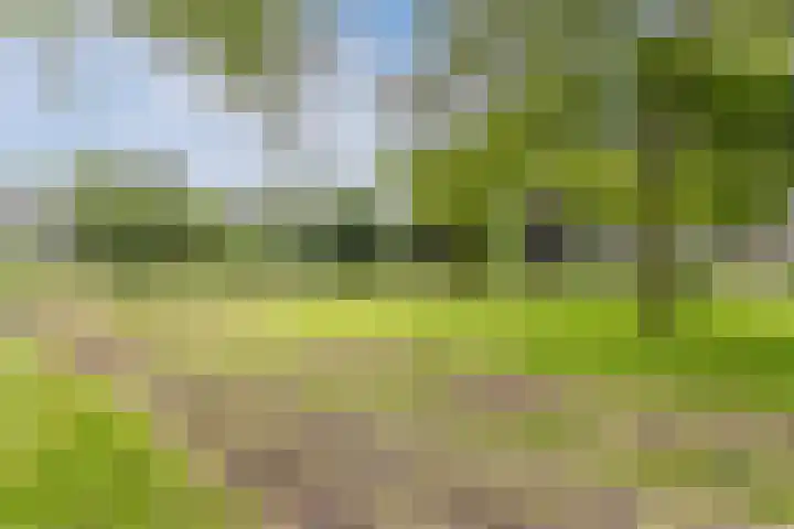 Van Heuven Goedhartlaan 426 Amstelveen thumbnail 33