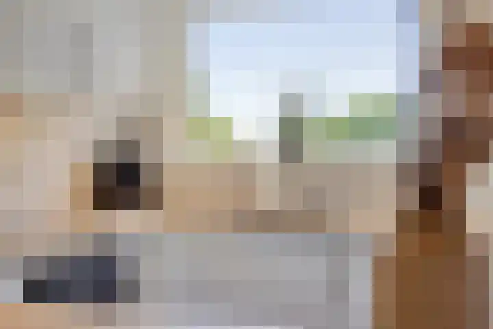 Van Heuven Goedhartlaan 448 Amstelveen thumbnail 13