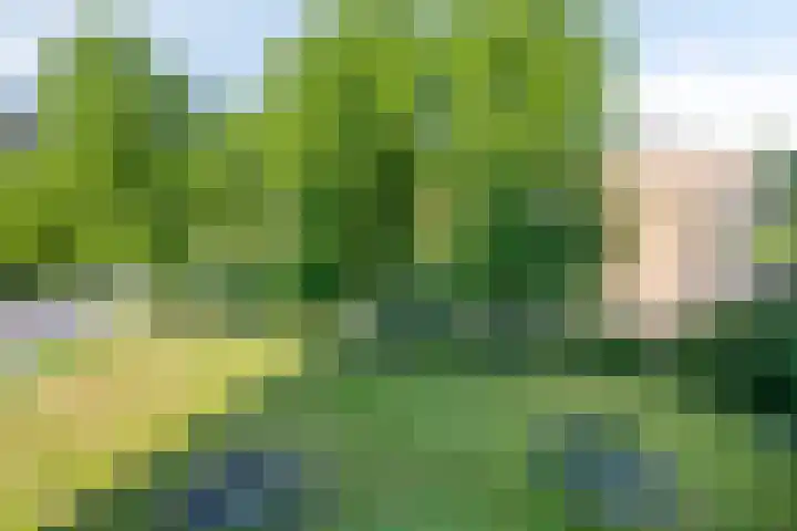 Van Heuven Goedhartlaan 448 Amstelveen thumbnail 26