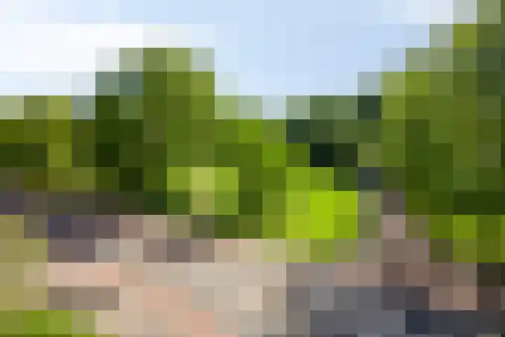 Van Heuven Goedhartlaan 448 Amstelveen thumbnail 29