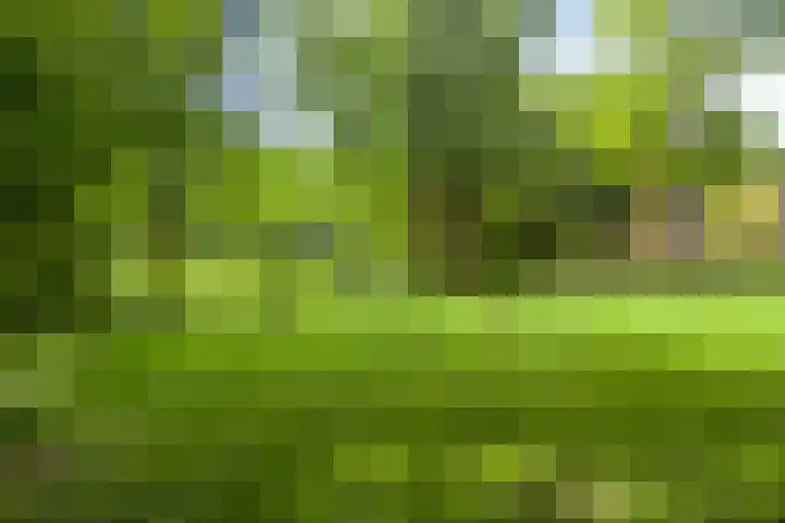 Van Heuven Goedhartlaan 448 Amstelveen thumbnail 33
