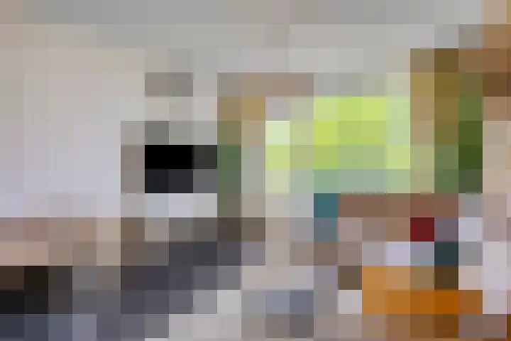 Van Heuven Goedhartlaan 448 Amstelveen thumbnail 4