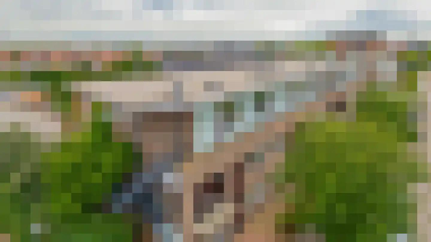 van Heuven Goedhartlaan 47 's-Gravenzande thumbnail 23