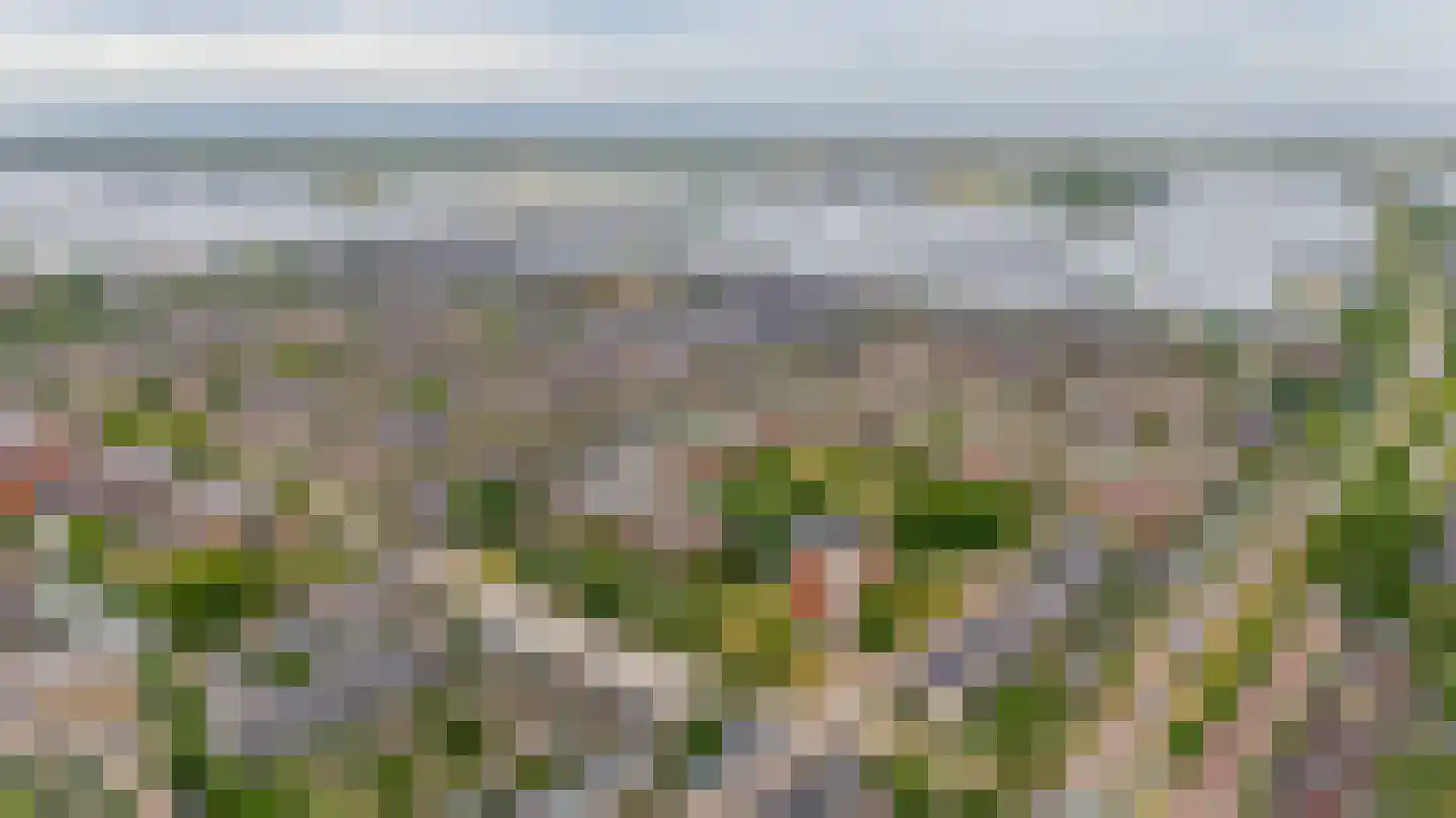 van Heuven Goedhartlaan 47 's-Gravenzande thumbnail 28