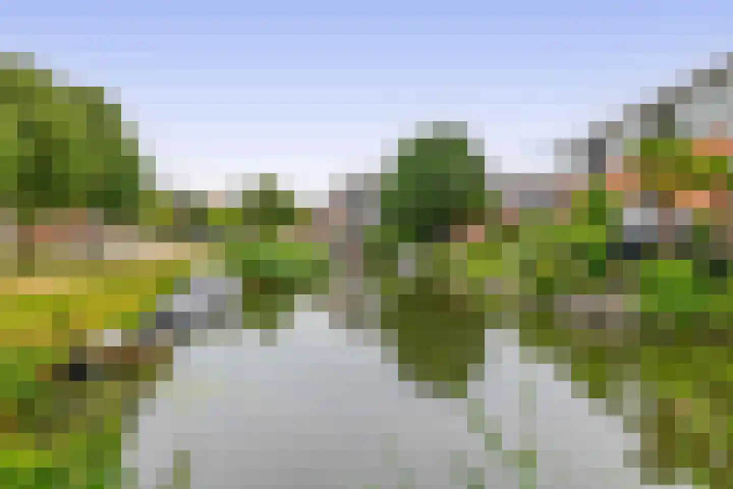 van Heuven Goedhartlaan 47 's-Gravenzande thumbnail 30