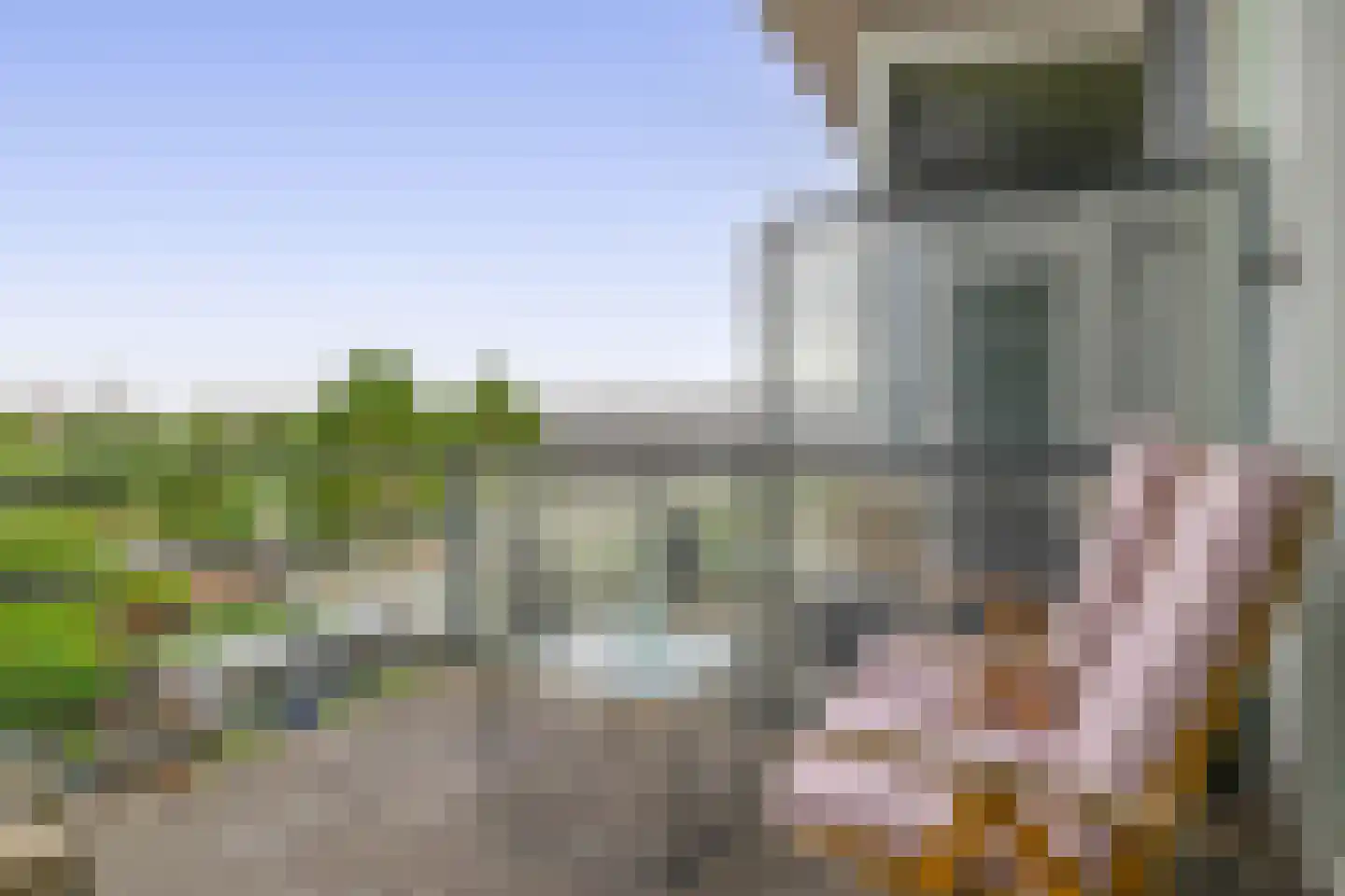 van Heuven Goedhartlaan 47 's-Gravenzande thumbnail 4