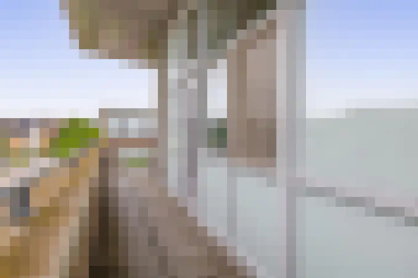 van Heuven Goedhartlaan 47 's-Gravenzande thumbnail 8