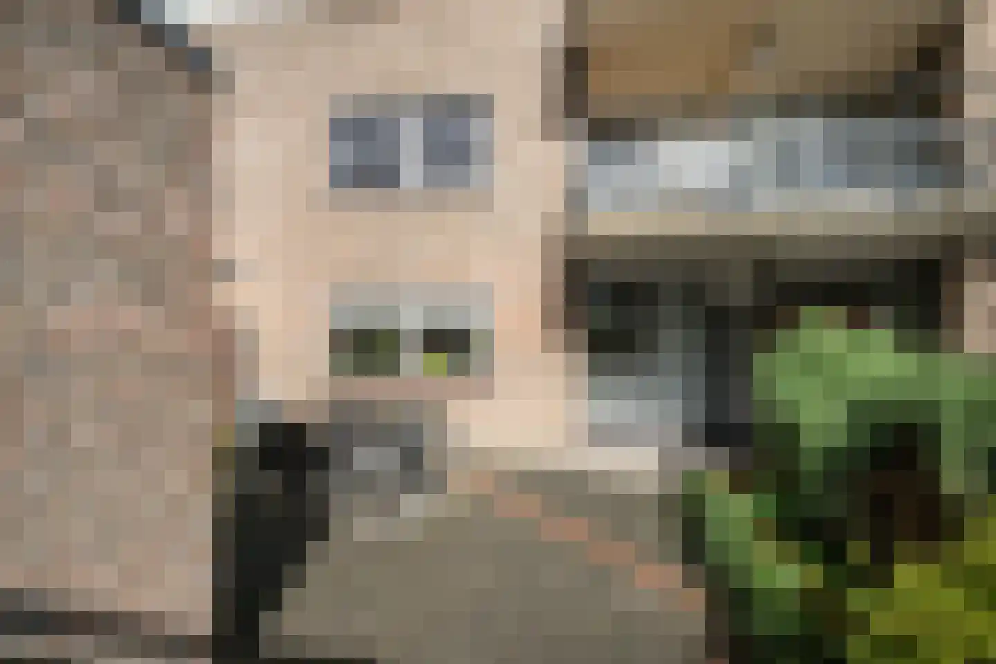van Heuven Goedhartlaan 5 's-Gravenzande thumbnail 21