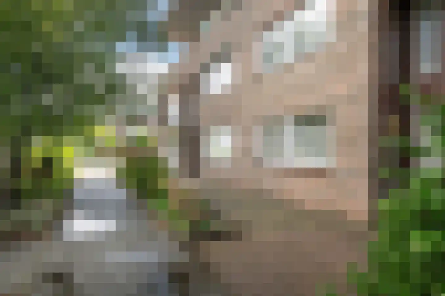 van Heuven Goedhartlaan 5 's-Gravenzande thumbnail 23
