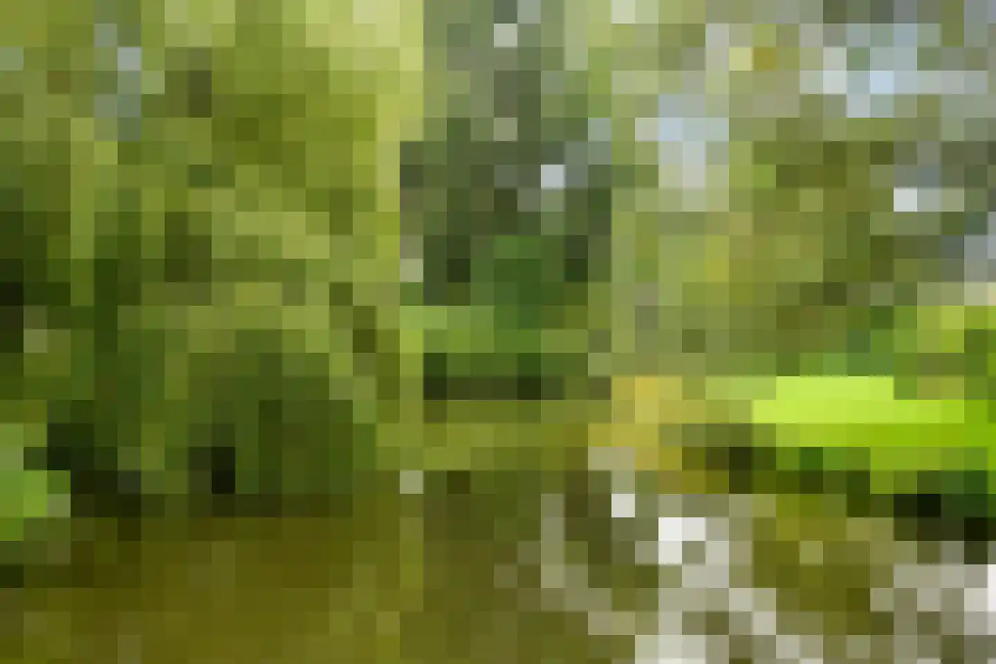 Van Heuven Goedhartlaan 608 Amstelveen thumbnail 44