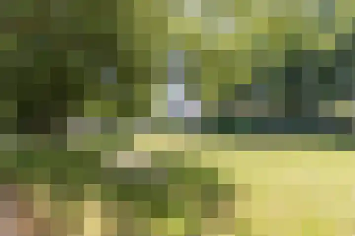 Van Heuven Goedhartlaan 632 Amstelveen thumbnail 33