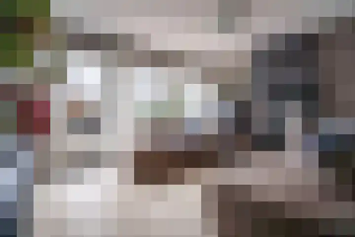 Van Heuven Goedhartstraat 14 Voorschoten thumbnail 13