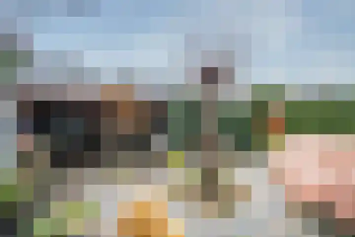 Van Heuven Goedhartstraat 14 Voorschoten thumbnail 15