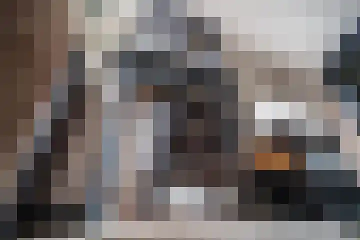 Van Heuven Goedhartstraat 14 Voorschoten thumbnail 26