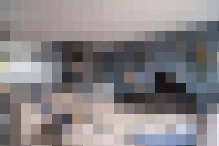 Van Heuven Goedhartstraat 14 Voorschoten thumbnail 27