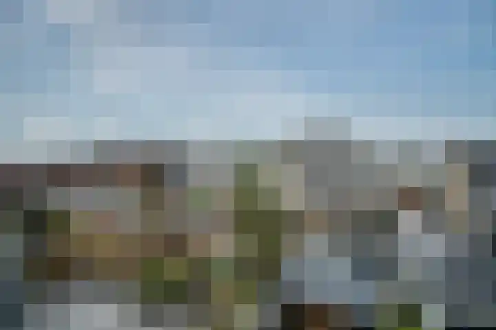 Van Heuven Goedhartstraat 14 Voorschoten thumbnail 51