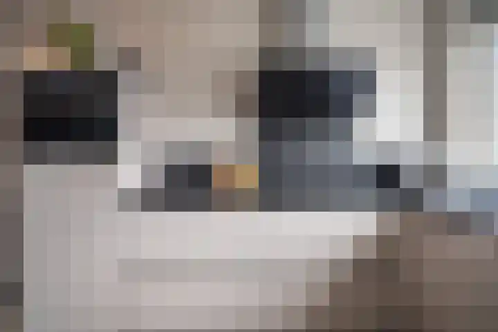 Van Heuven Goedhartstraat 14 Voorschoten thumbnail 7