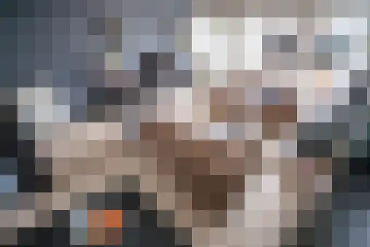 Van Heuven Goedhartstraat 14 Voorschoten thumbnail 9