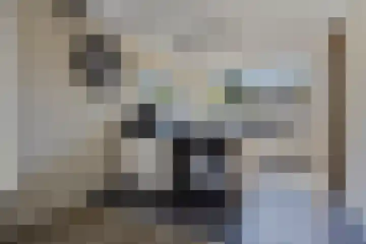 Van Heuven Goedhartstraat 30 Reeuwijk thumbnail 9