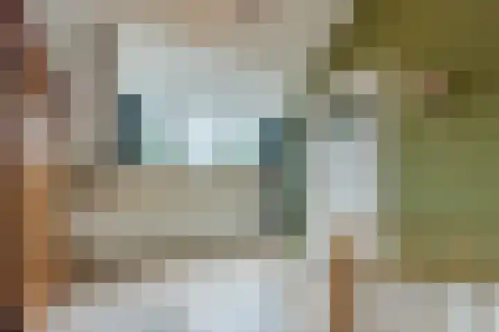 Van Heuven Goedhartstraat 4 Voorschoten thumbnail 23
