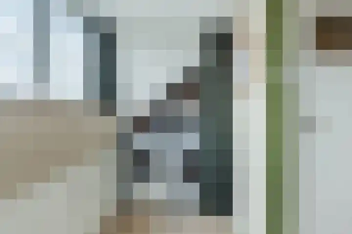 Van Heuven Goedhartstraat 4 Voorschoten thumbnail 24