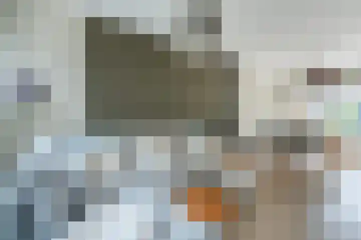 Van Heuven Goedhartstraat 4 Voorschoten thumbnail 7
