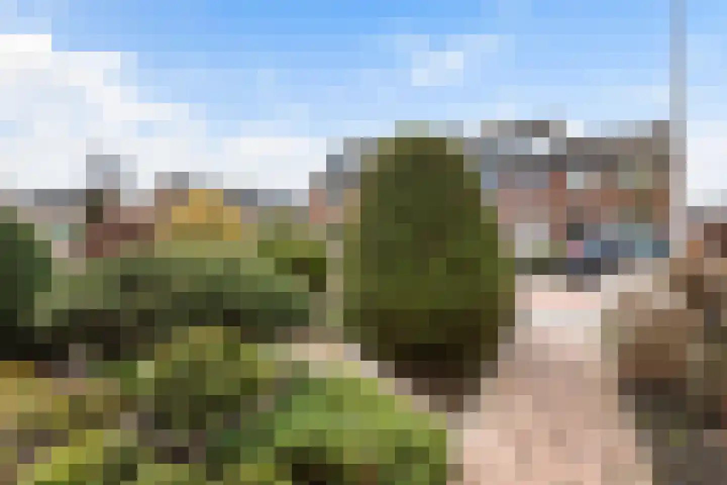 Van Heuven Goedhartstraat 42 Reeuwijk thumbnail 55