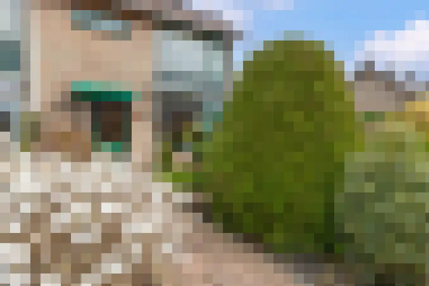 Van Heuven Goedhartstraat 42 Reeuwijk thumbnail 7