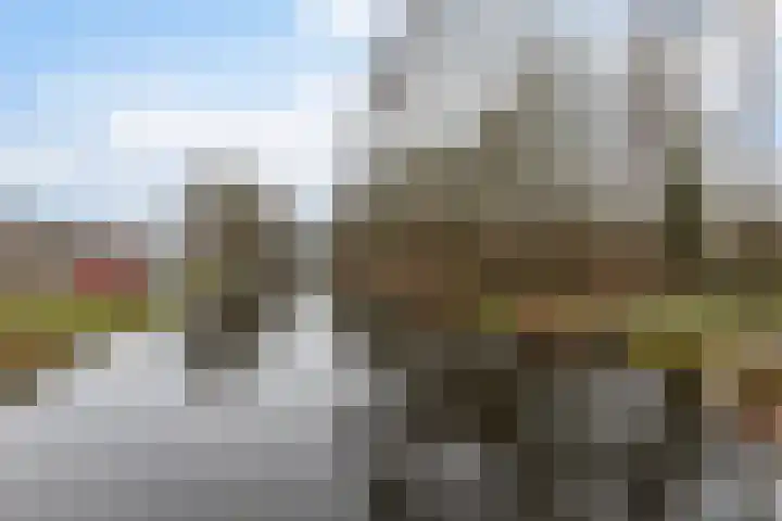 Van Heuven Goedhartstraat 61 Reeuwijk thumbnail 40